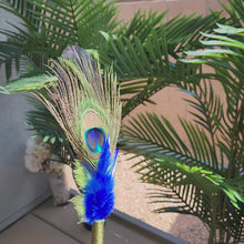 Load and play video in Gallery viewer, "Natural Mystic" Faux Feather Pen